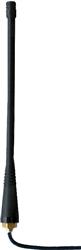 712-ANT-916-PW-QW